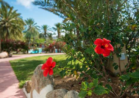 Gartenanlagen HL Miraflor Suites**** Hotel Gran Canaria
